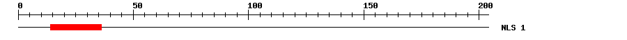 NLS