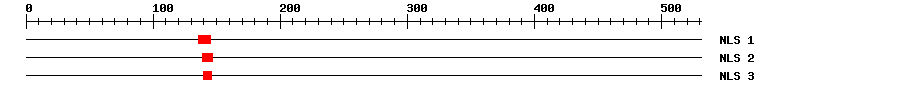 NLS