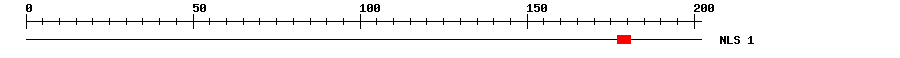 NLS