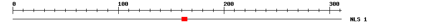 NLS