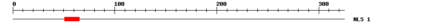 NLS