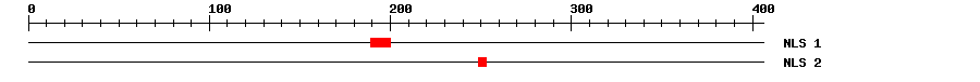 NLS