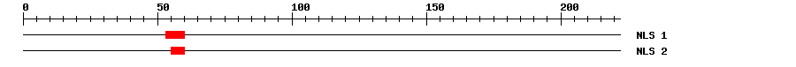 NLS