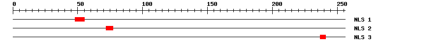 NLS