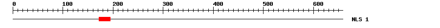 NLS