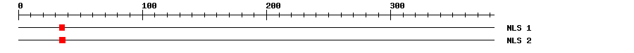 NLS