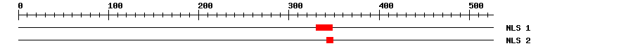 NLS