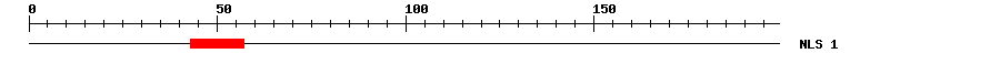 NLS