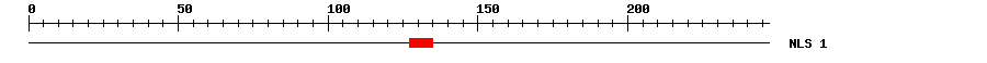 NLS