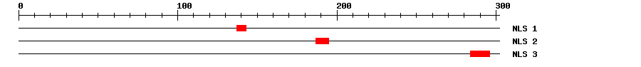 NLS