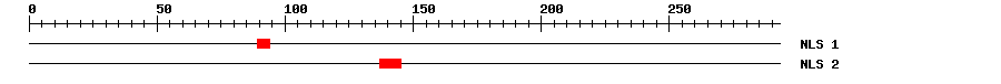 NLS