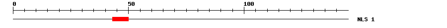 NLS