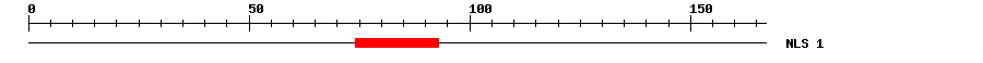 NLS