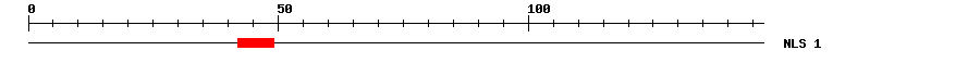 NLS