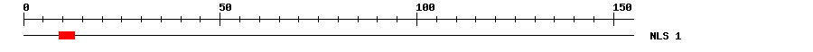 NLS
