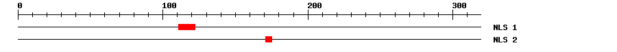 NLS