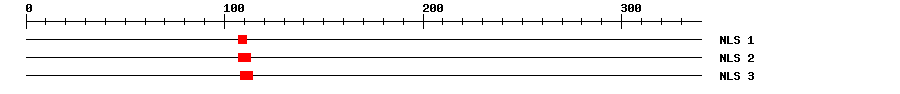 NLS