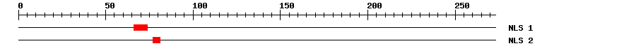NLS