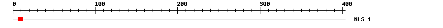 NLS