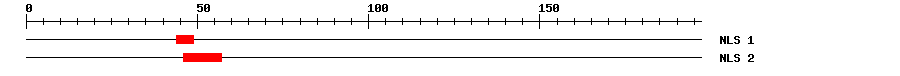NLS