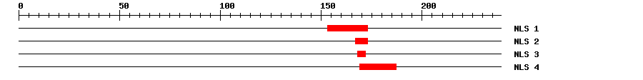 NLS
