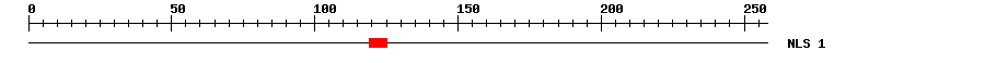 NLS