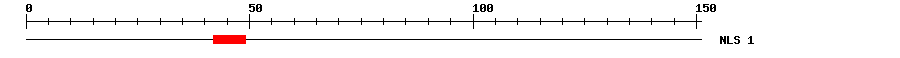 NLS
