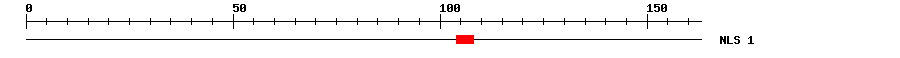 NLS