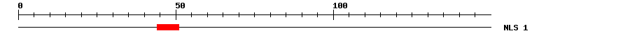 NLS