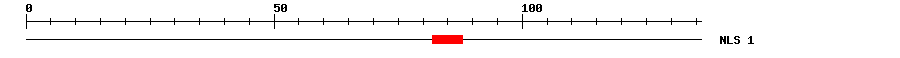 NLS