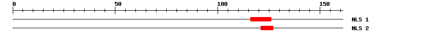 NLS