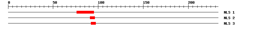 NLS