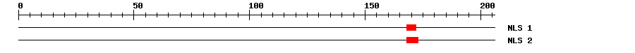 NLS