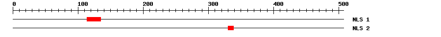 NLS
