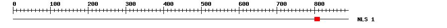NLS