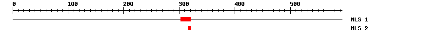 NLS
