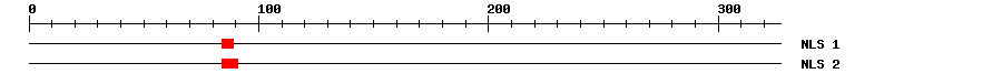 NLS
