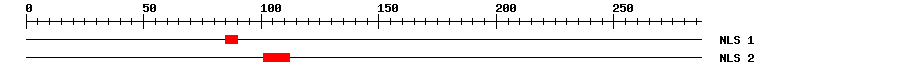 NLS