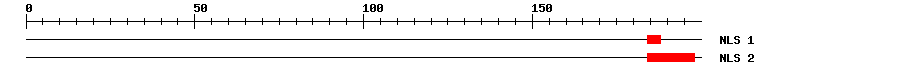NLS