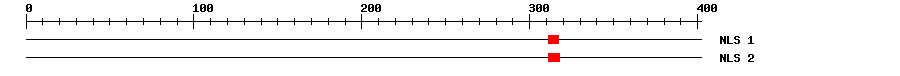 NLS