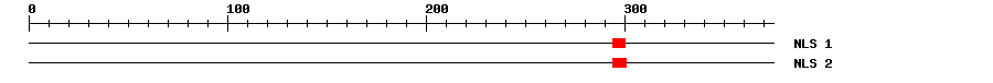 NLS