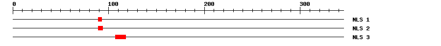 NLS