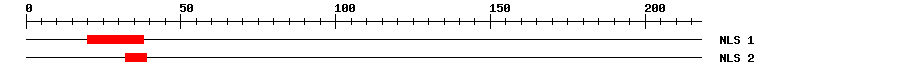NLS
