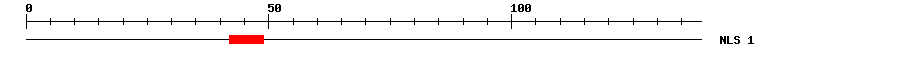 NLS