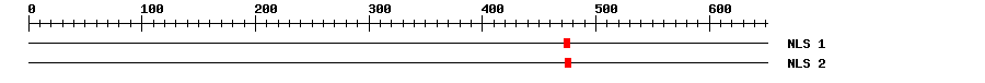 NLS