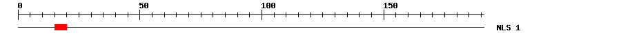 NLS