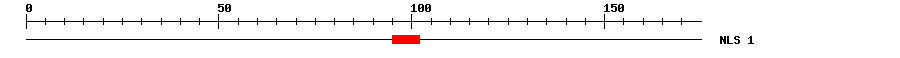 NLS