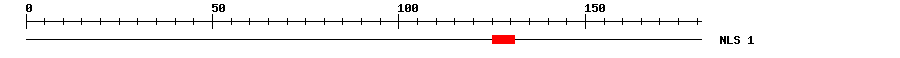 NLS
