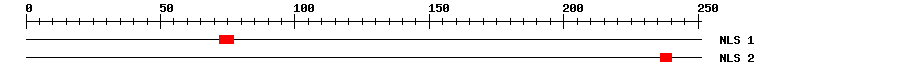 NLS