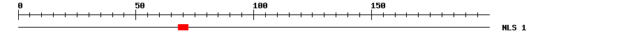 NLS